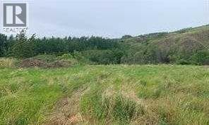 vacant land at 8201 98 Street — $25,000