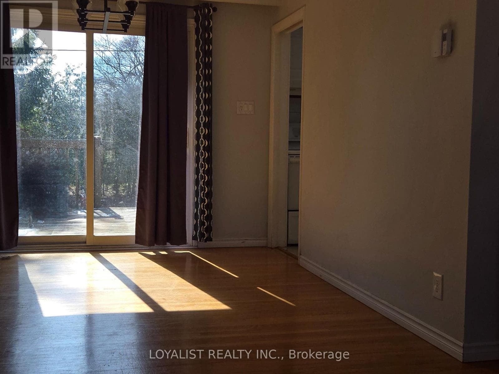 220 PARROTT DRIVE photo 5