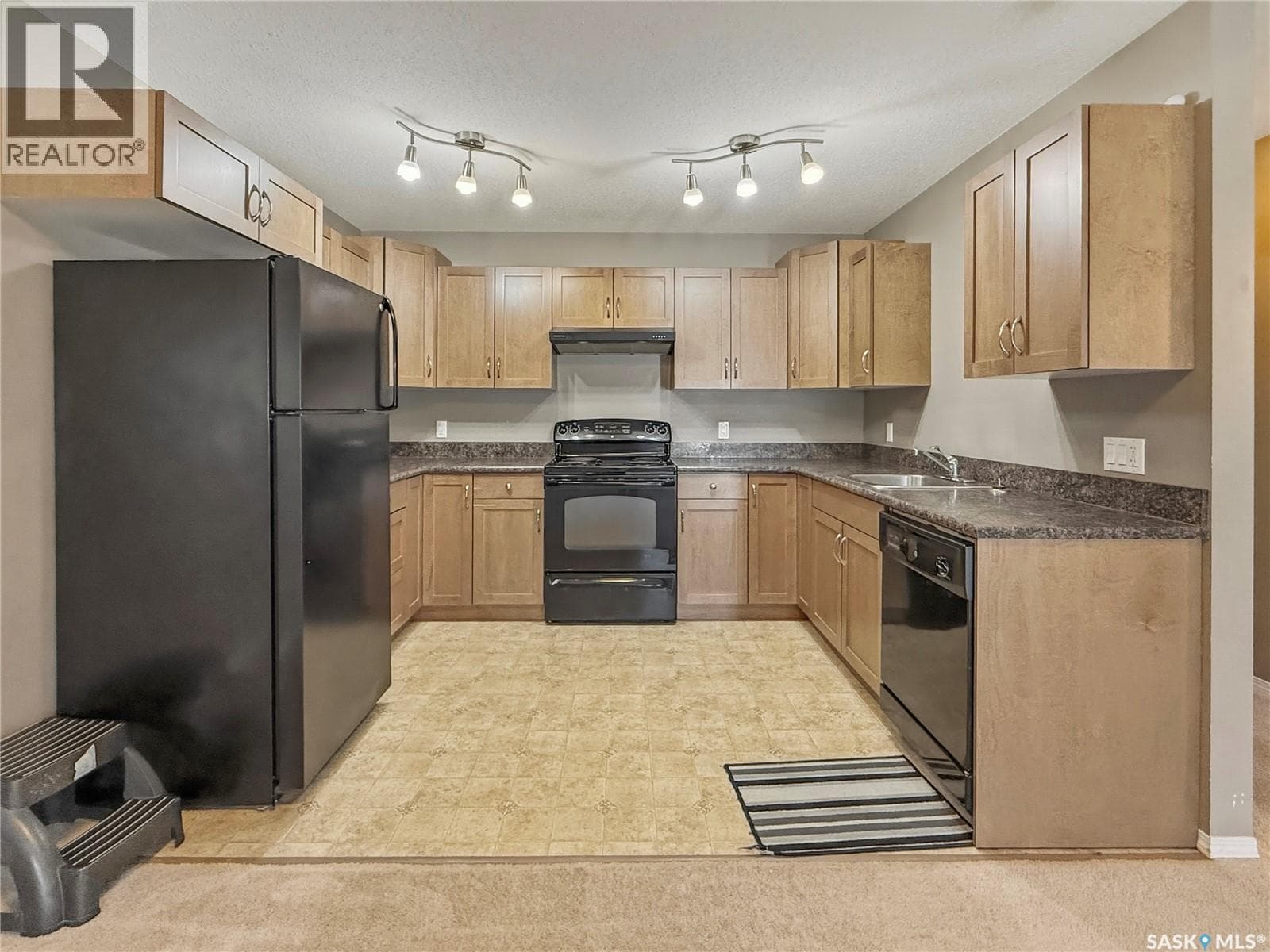 113 825 Gladstone STREET E — photo 5