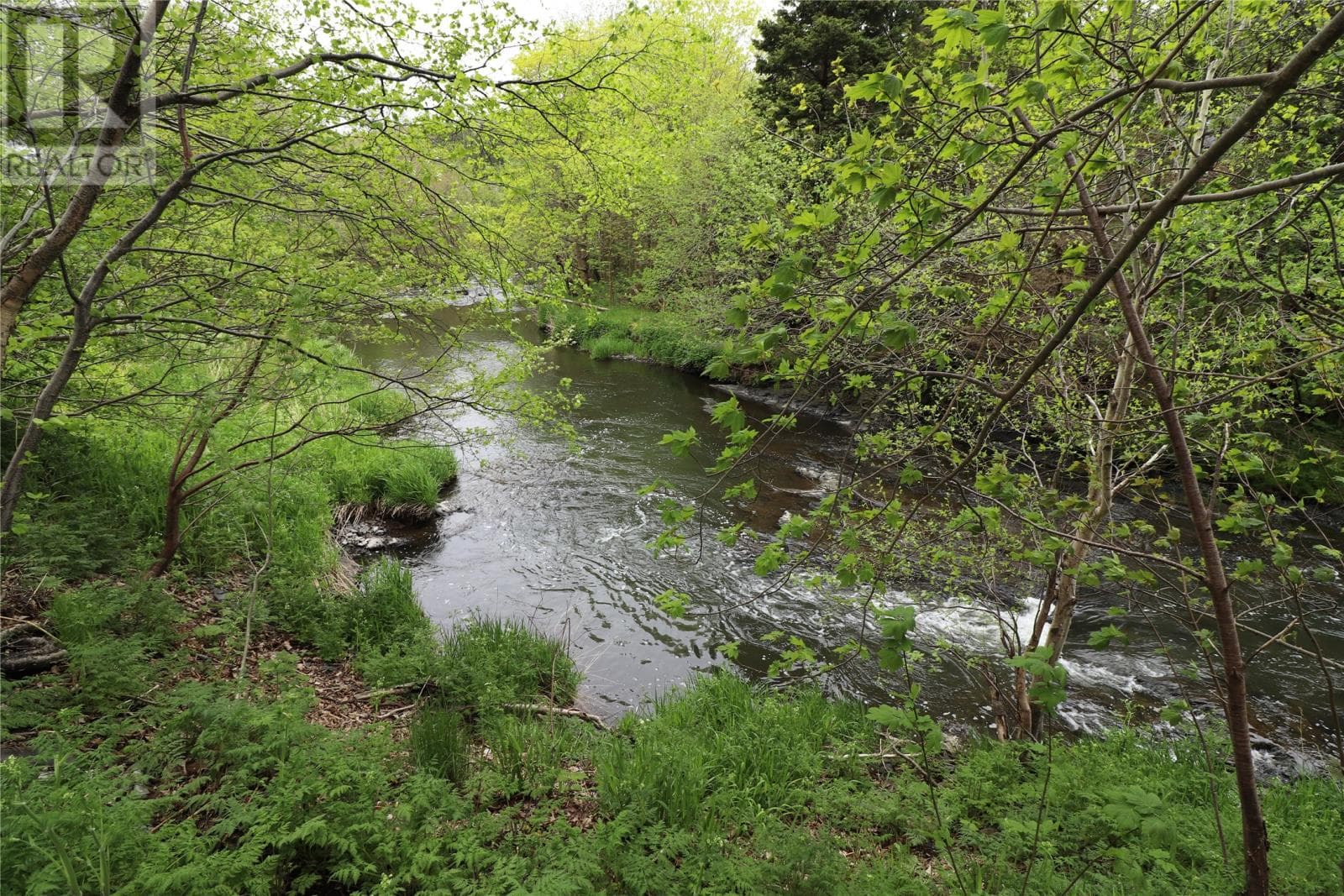 227 Waterford Bridge Road photo 2