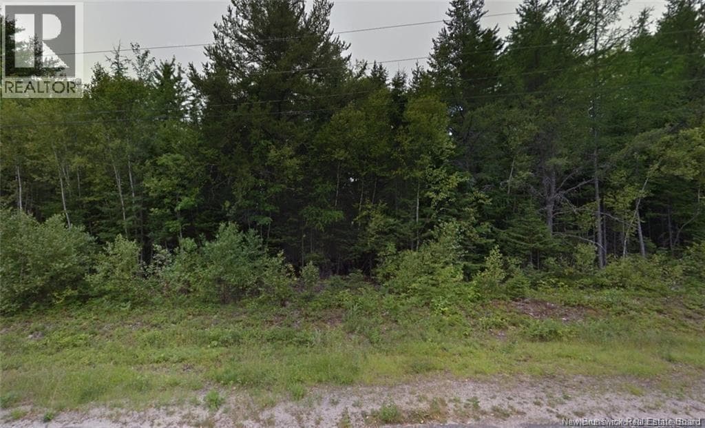 1.07 Acres Gray Street photo 3