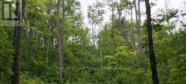 1154 DELIA ROAD photo 2