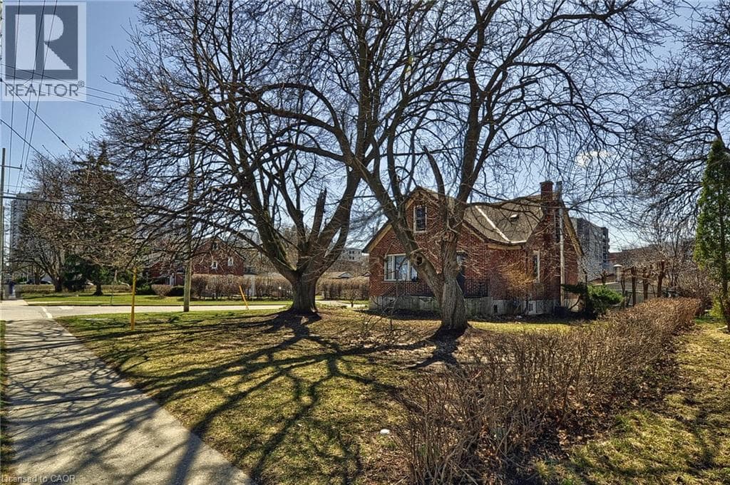 285 ALBERT Street photo 4