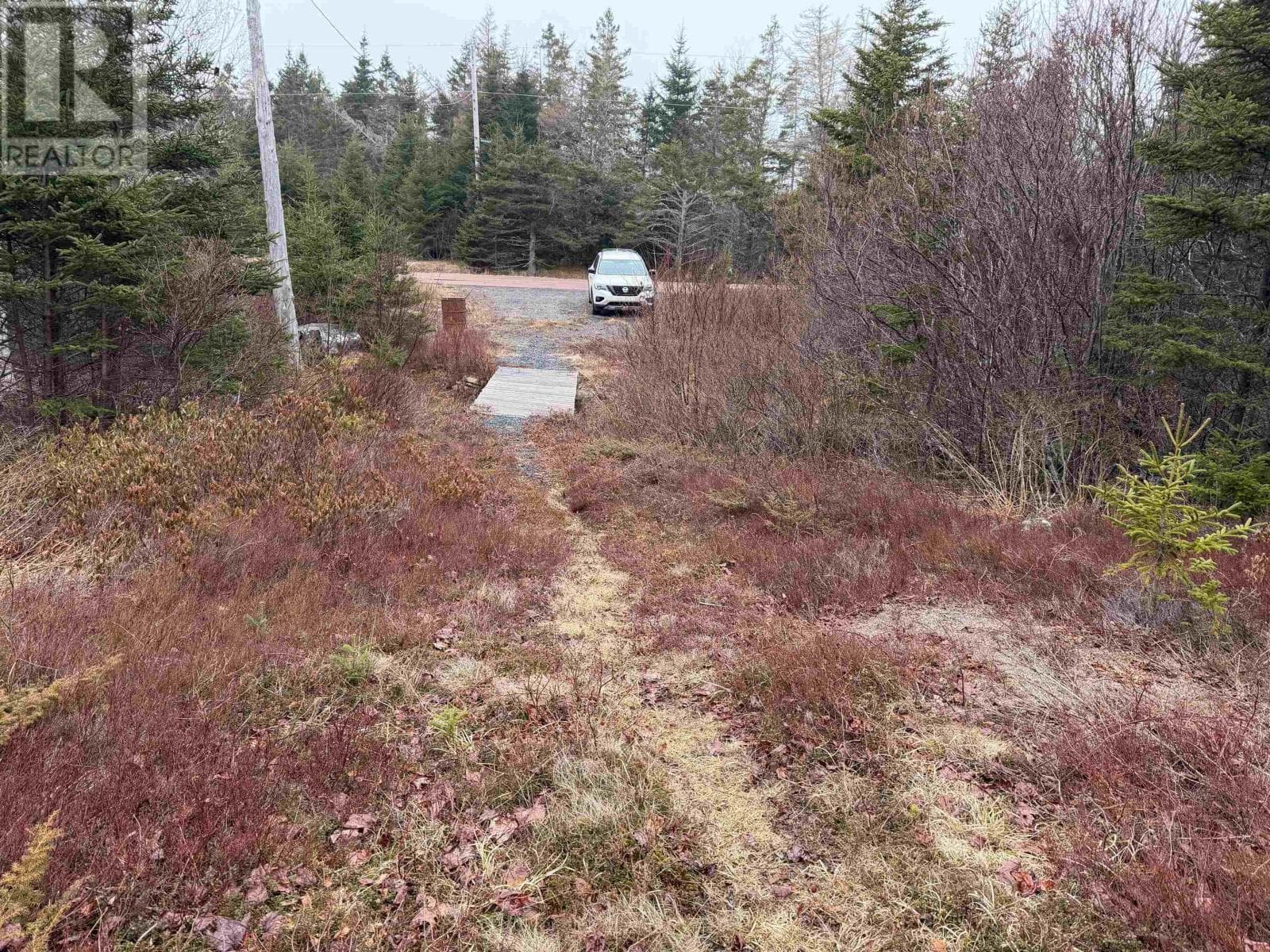 523 Little Liscomb Road photo 5