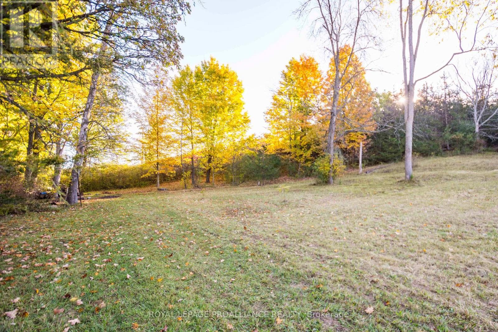 863 GUNTER SETTLEMENT ROAD photo 2