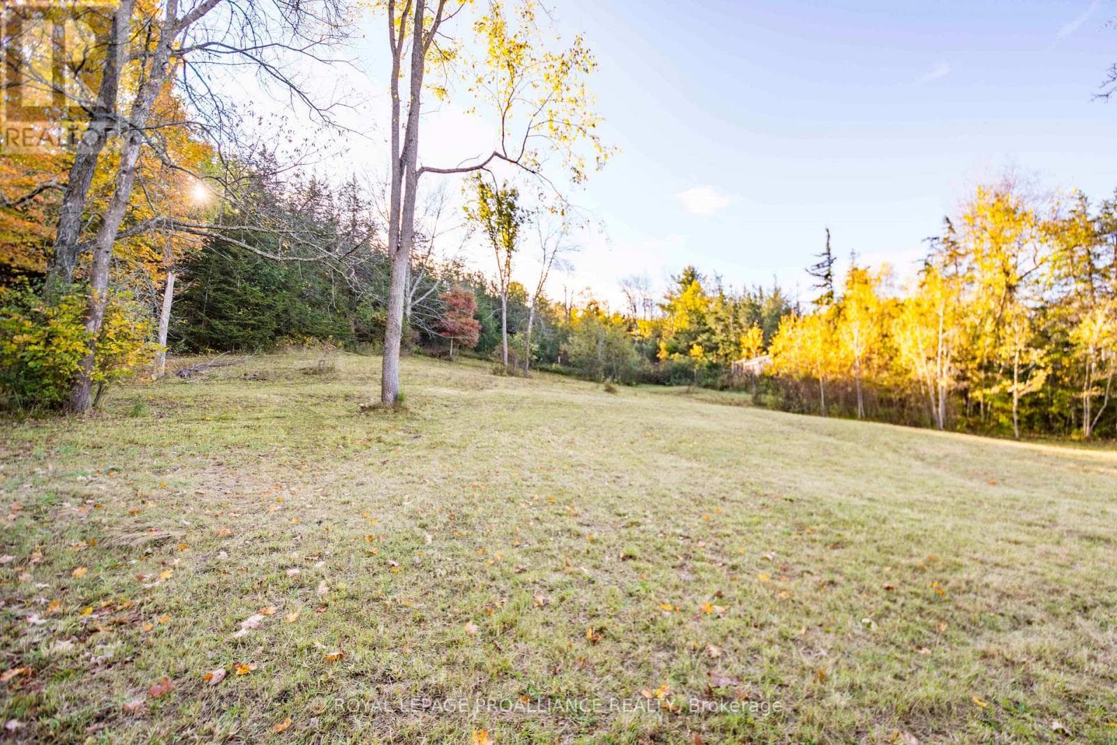 863 GUNTER SETTLEMENT ROAD photo 3