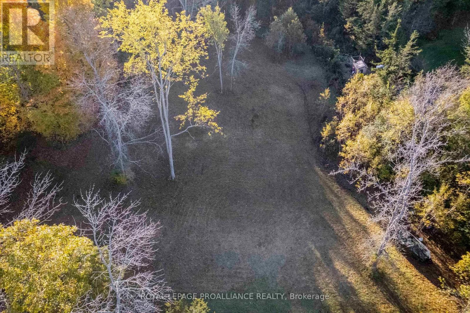 863 GUNTER SETTLEMENT ROAD photo 4