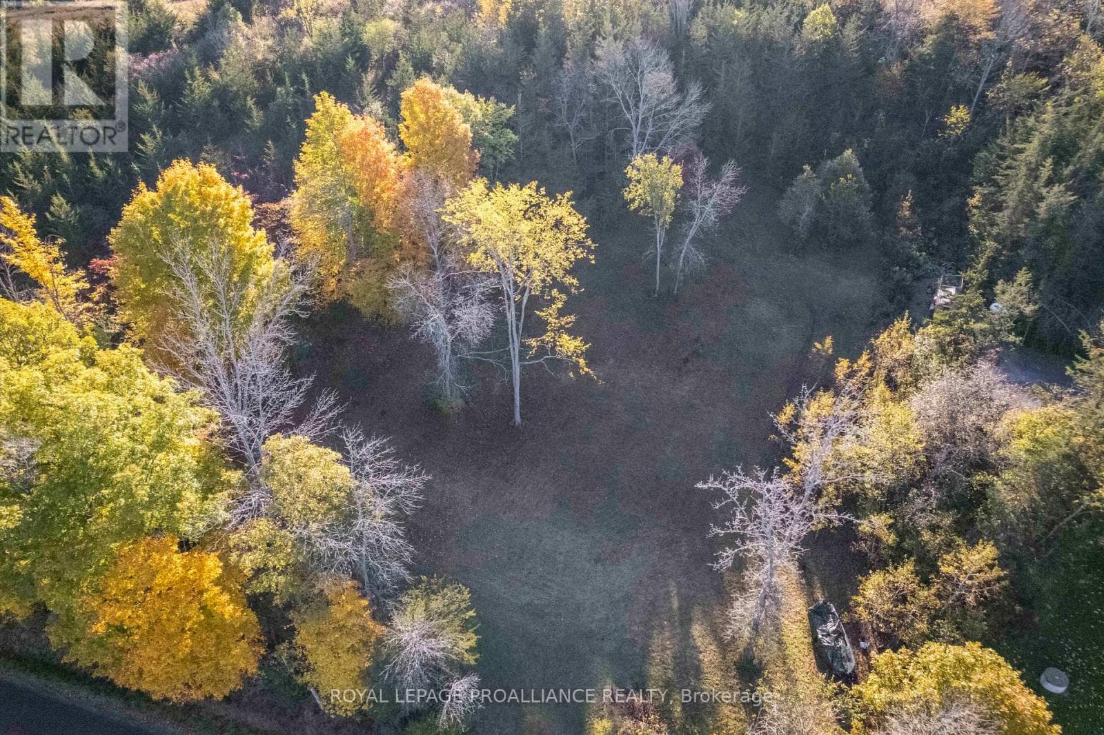 863 GUNTER SETTLEMENT ROAD photo 5