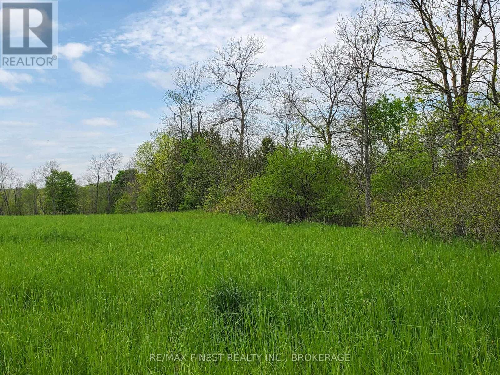 4677 PETWORTH ROAD photo 4