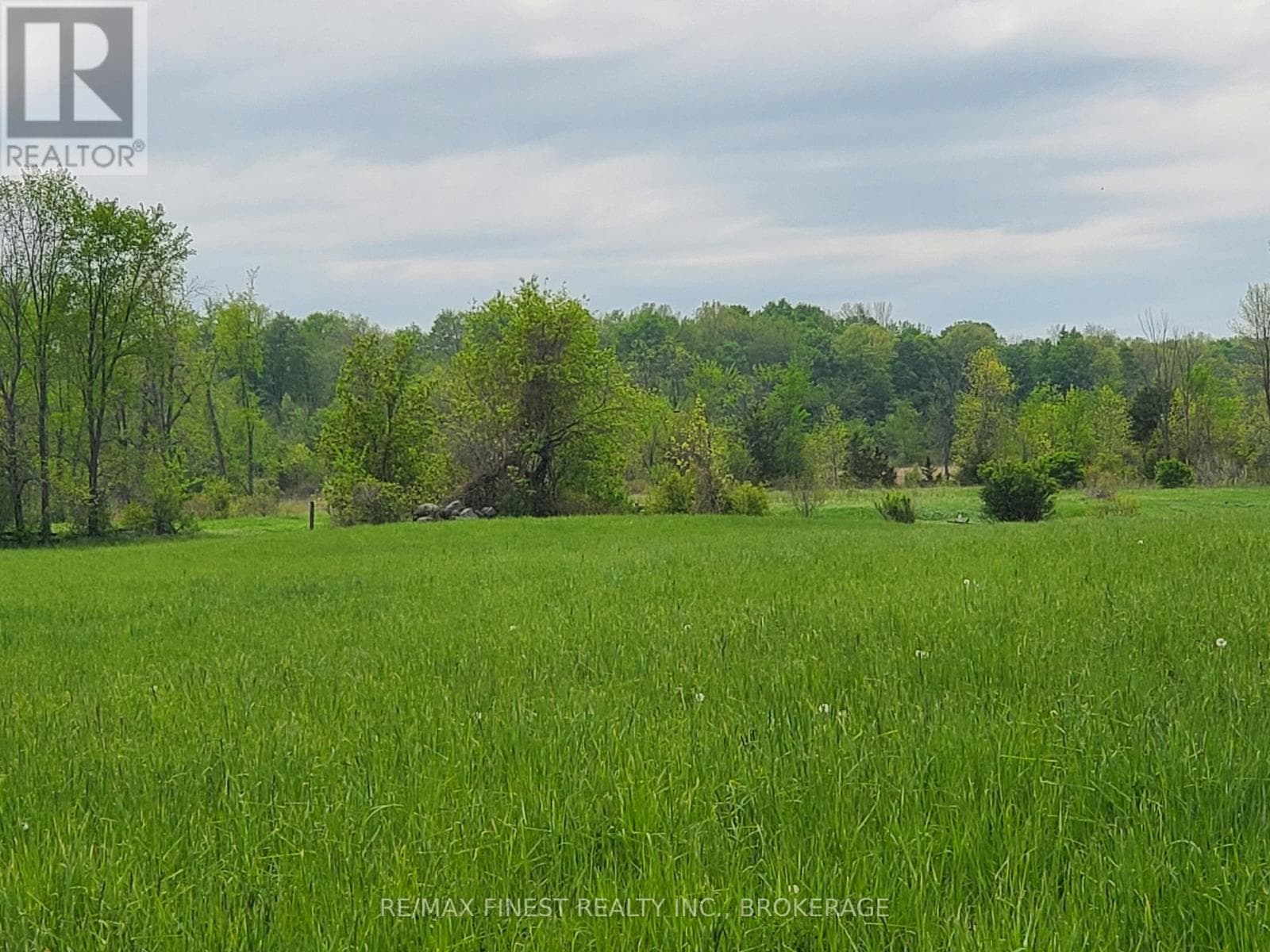 4677 PETWORTH ROAD photo 5