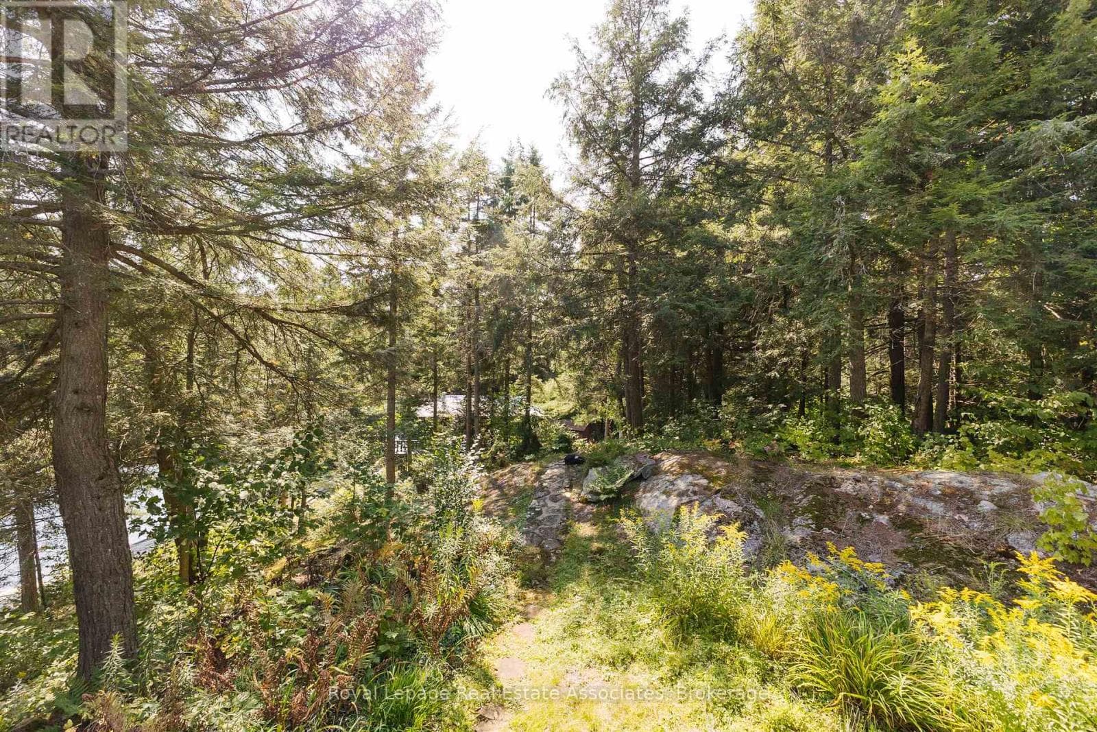 6415 KENNISIS LAKE ROAD photo 4