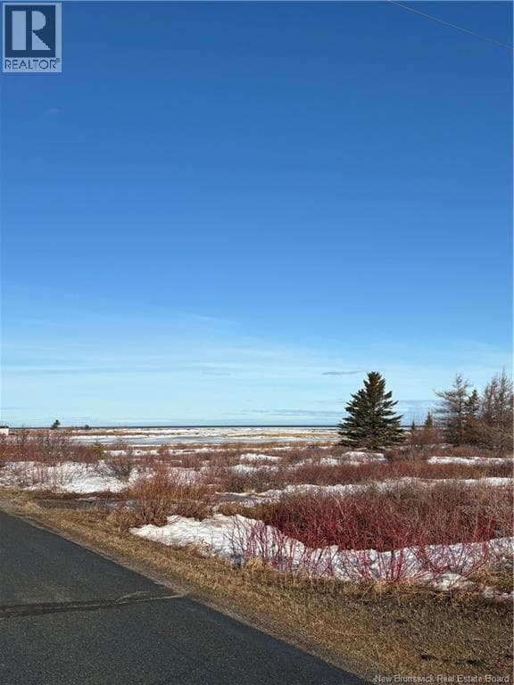 1.3 Acres du Vieux Port de Mer Street photo 4