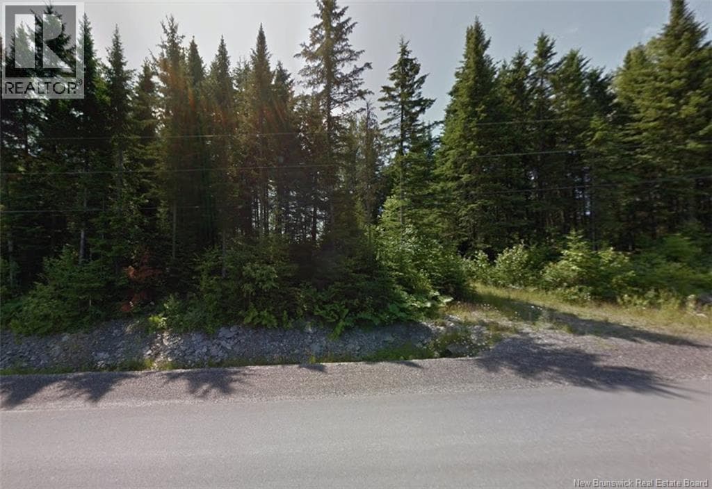 vacant land at Route 205 — $50,000