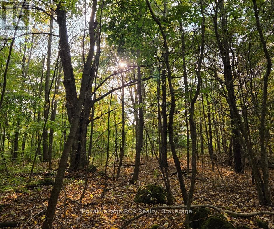 vacant land at N/A SIMPSON — $225,000