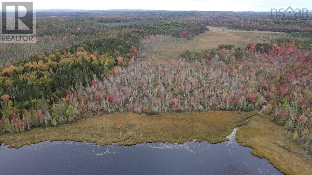 Lot Walton Woods Road photo 4