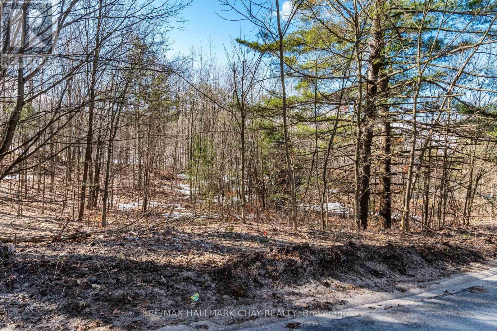 19 BIRCH GROVE DRIVE photo 2