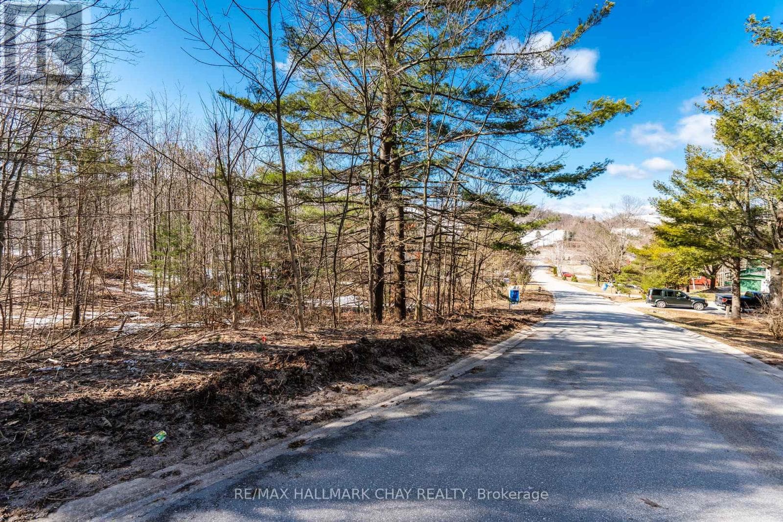 19 BIRCH GROVE DRIVE photo 3