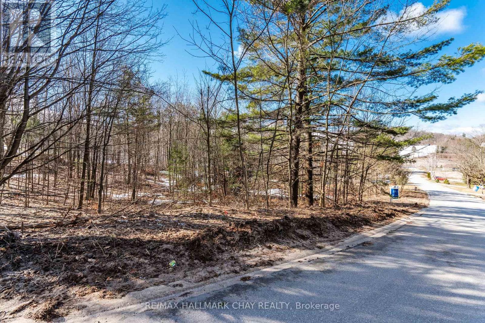 19 BIRCH GROVE DRIVE photo 4