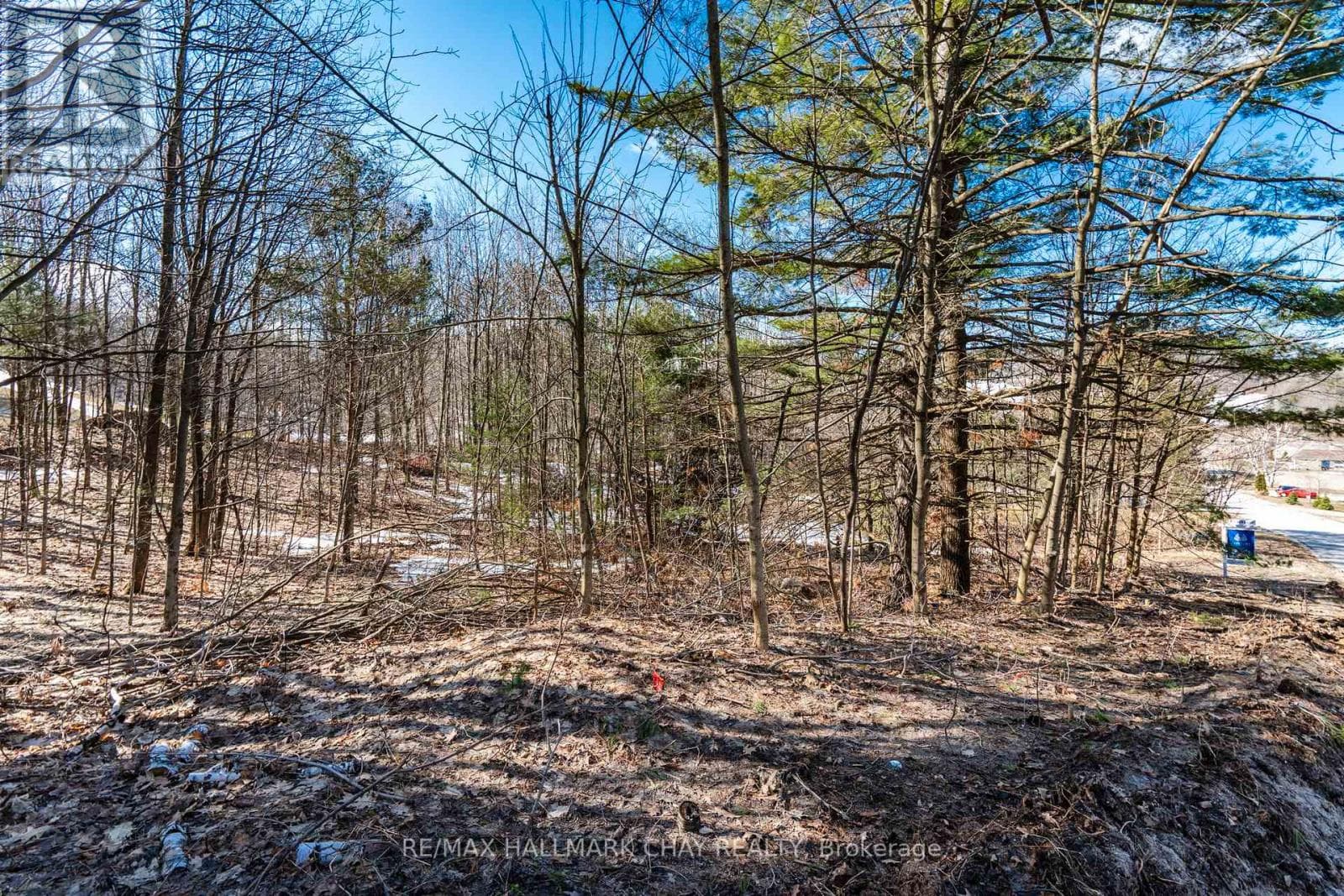 19 BIRCH GROVE DRIVE photo 5