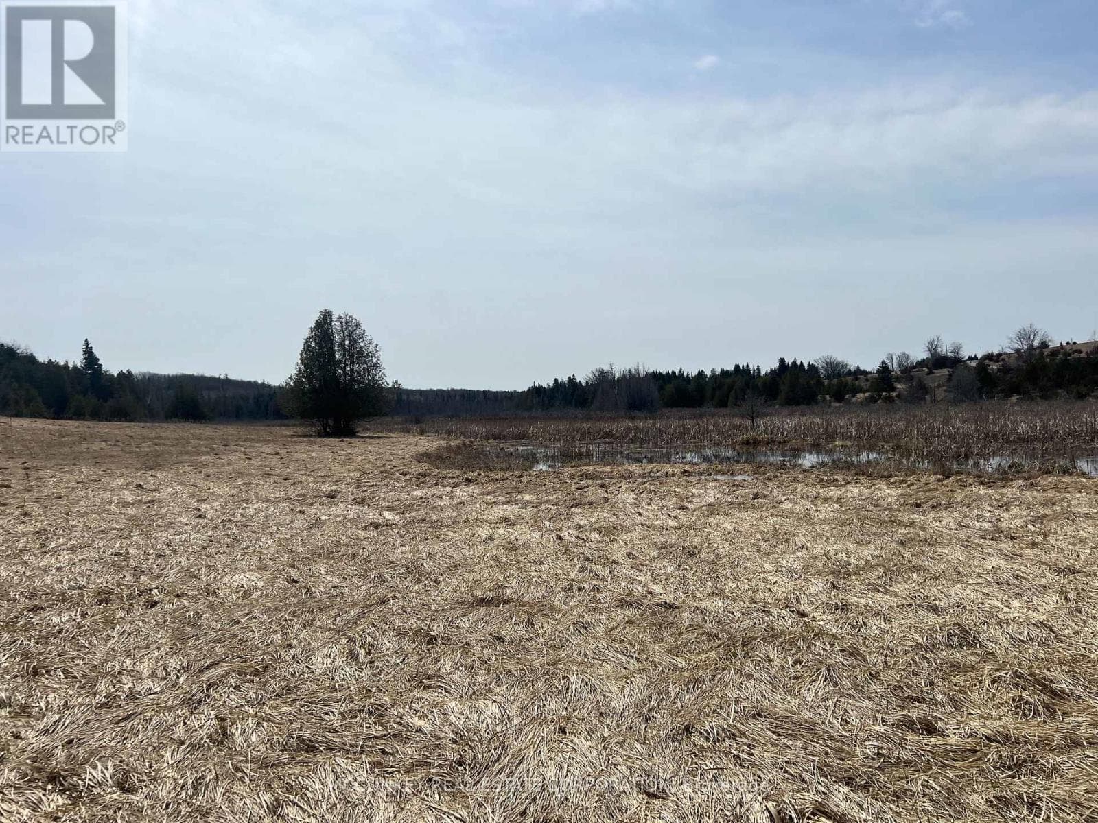 00 CONCESSION ROAD 13 E photo 2