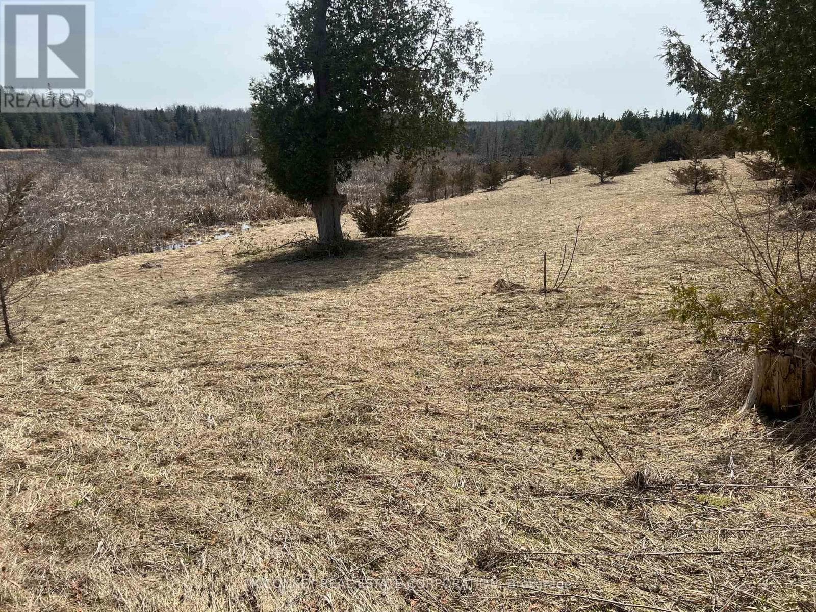 00 CONCESSION ROAD 13 E photo 4
