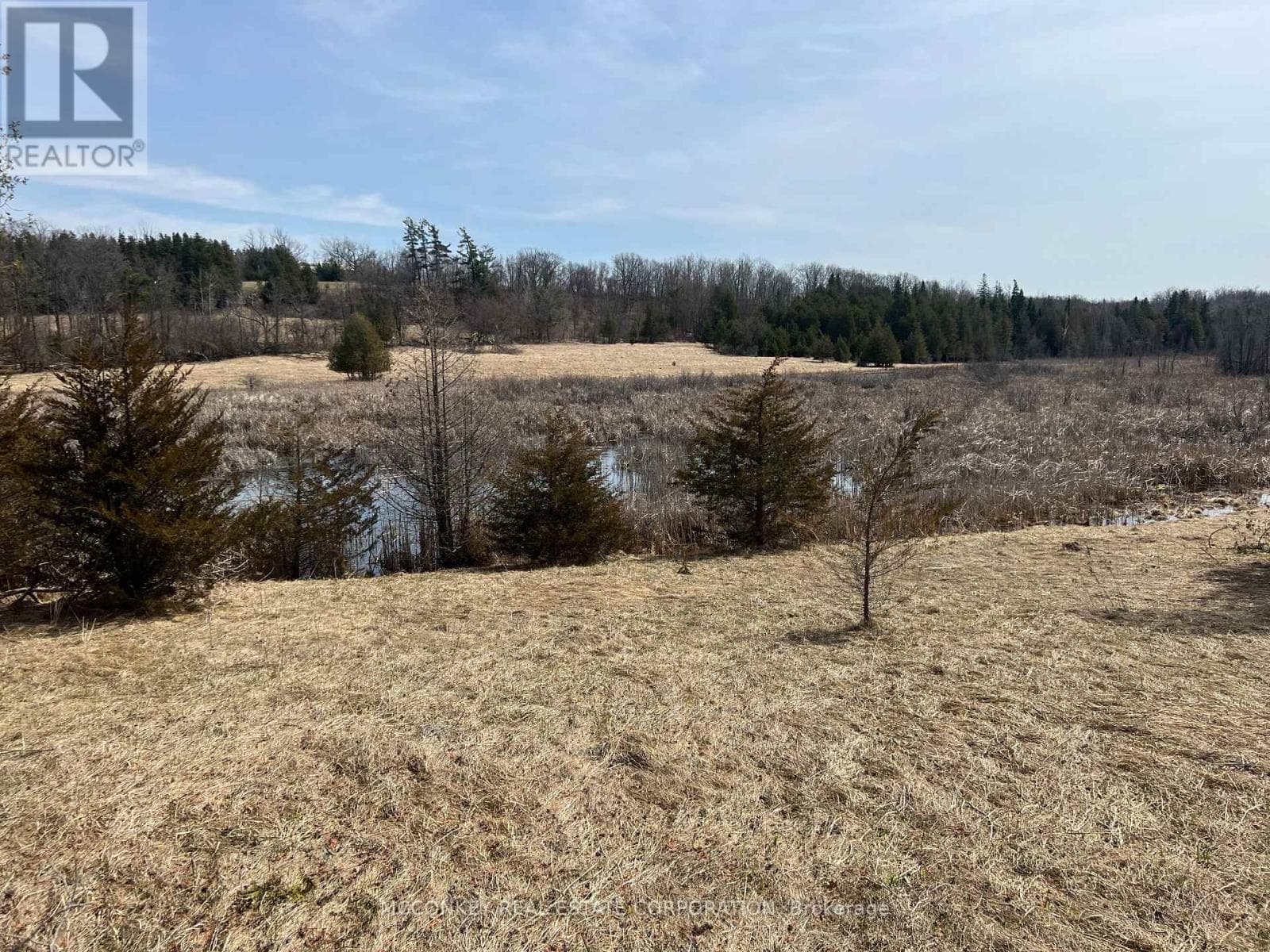00 CONCESSION ROAD 13 E photo 5