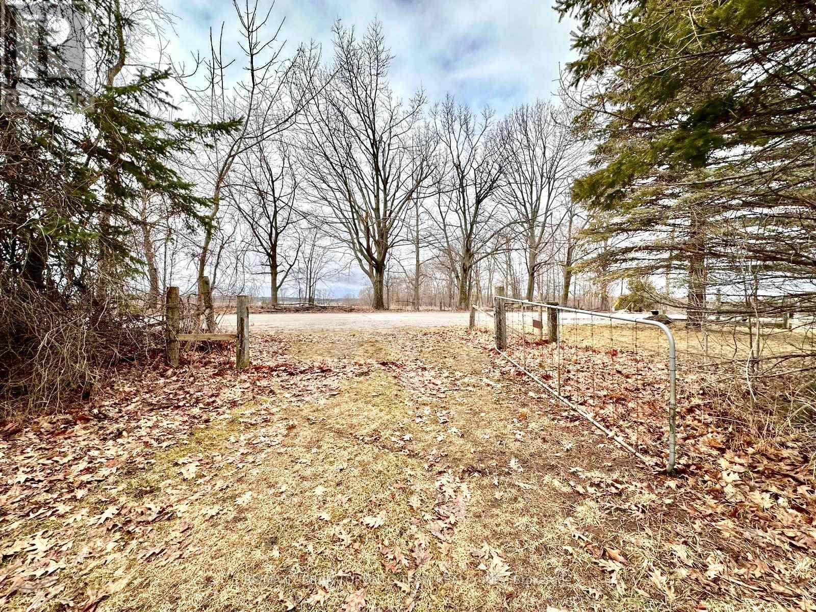 414 NORTH LINE ROAD photo 2