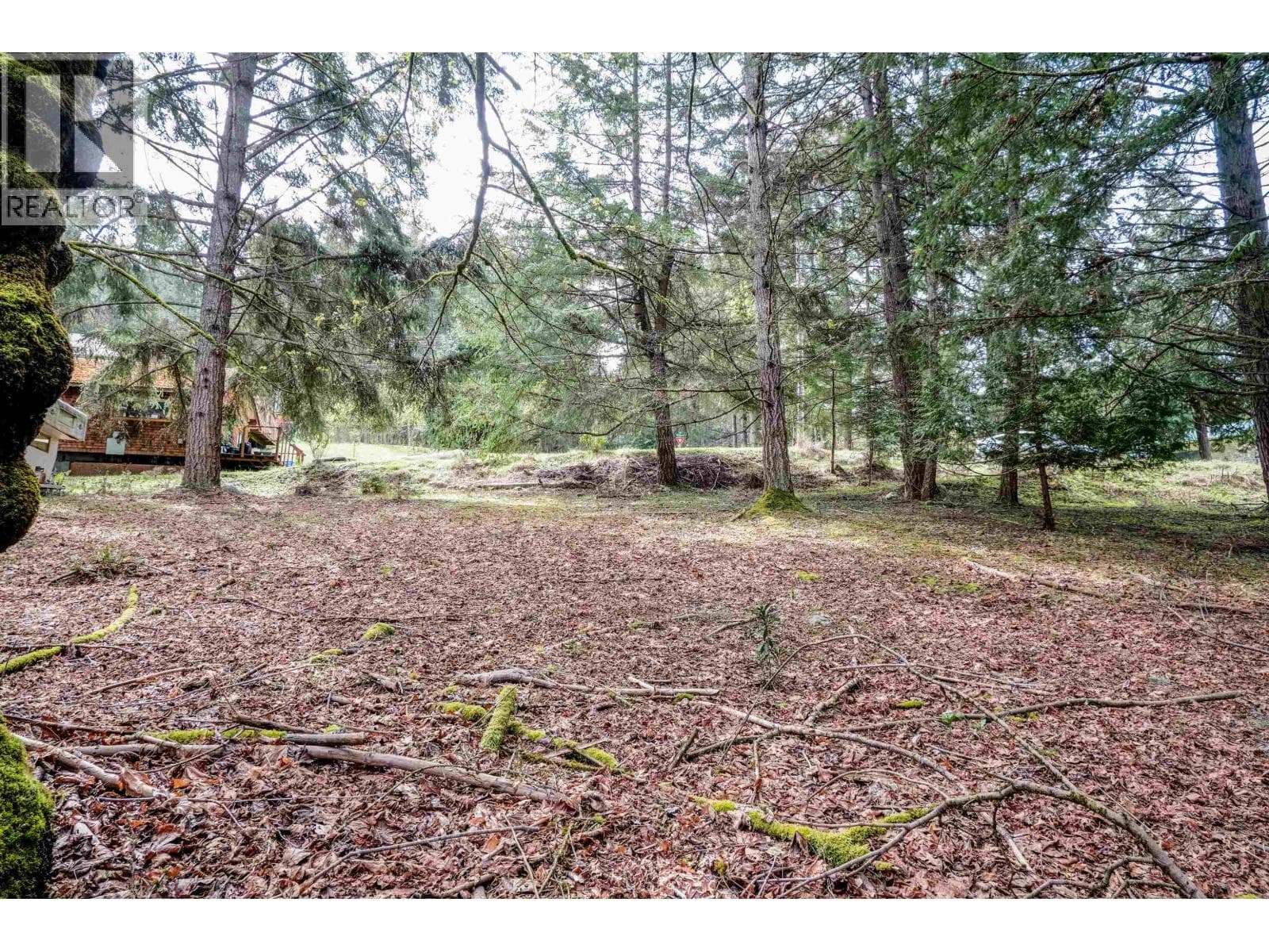 548 DALTON DRIVE photo 4