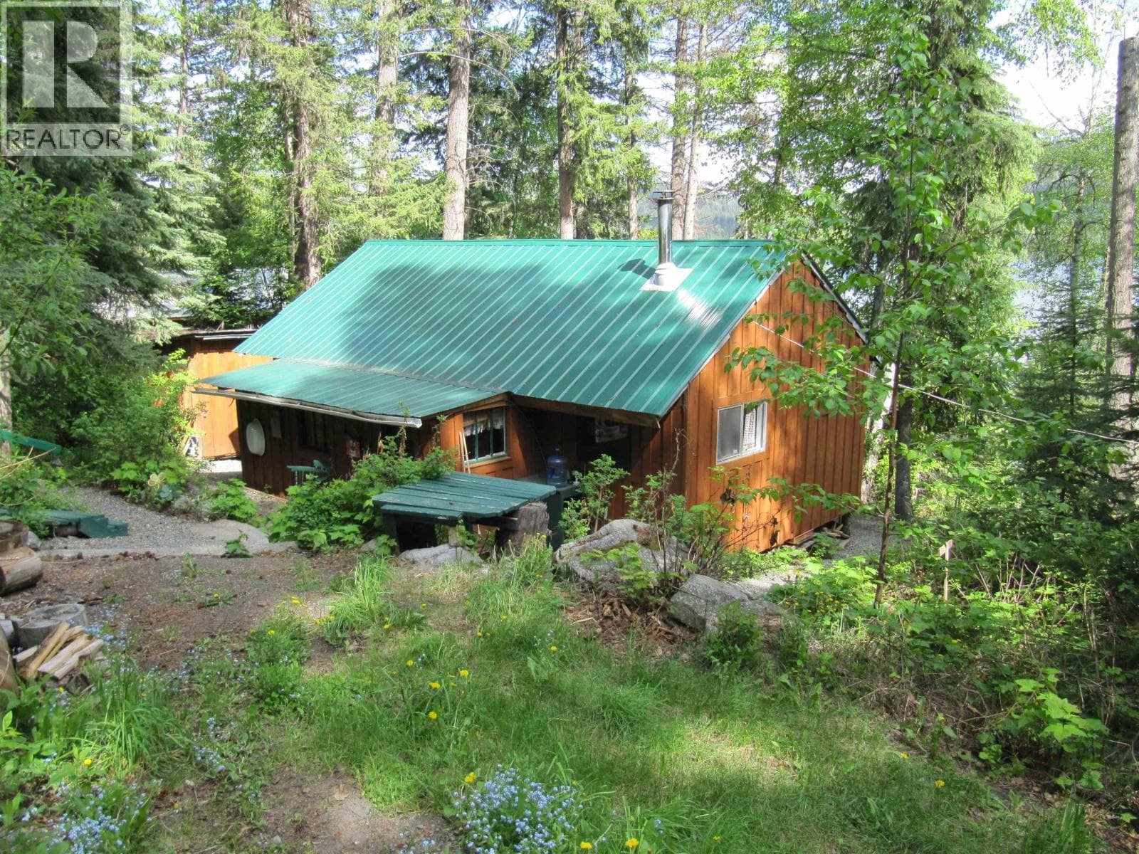 4376 BIRCH LAKE DUMP ROAD photo 3