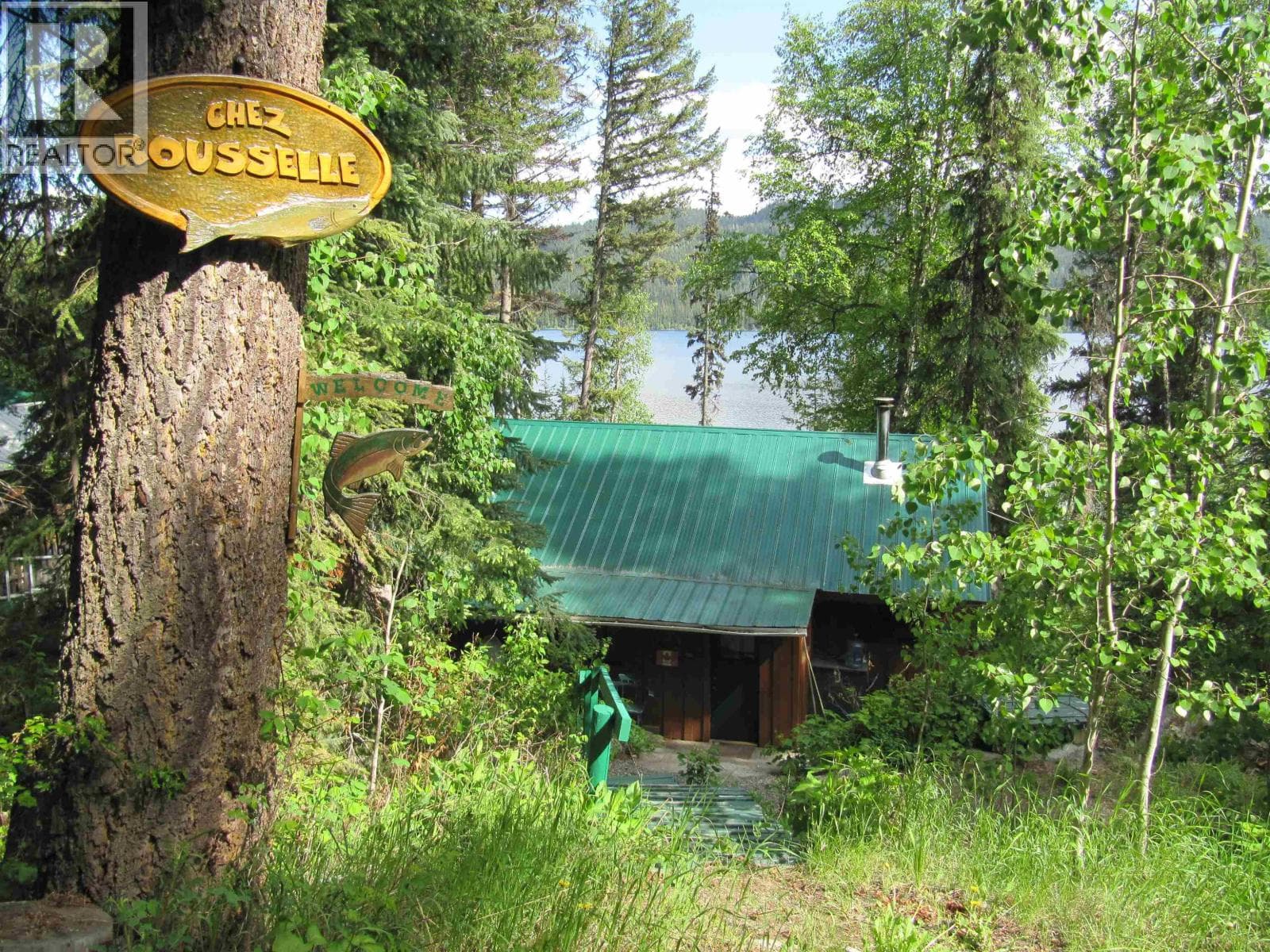 4376 BIRCH LAKE DUMP ROAD photo 2