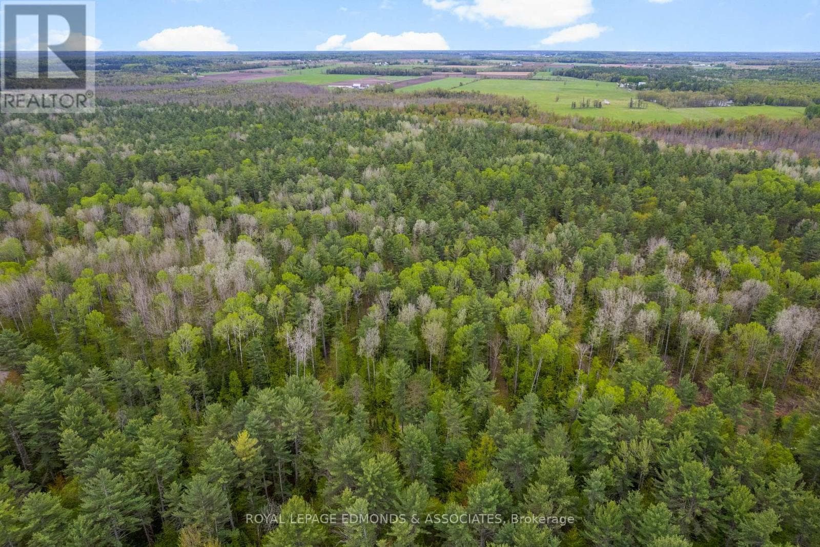 vacant land at 0000 NANGOR TRAIL — $379,900