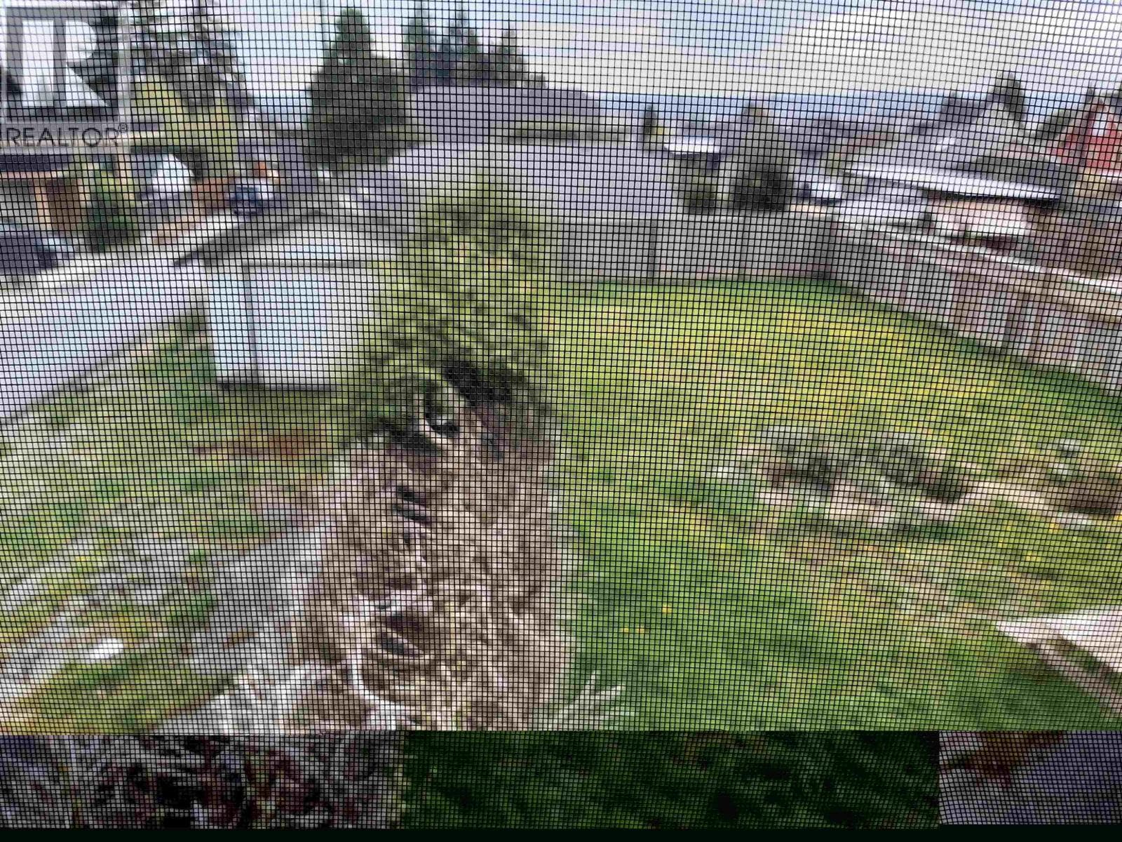 535 E 8TH STREET photo 3