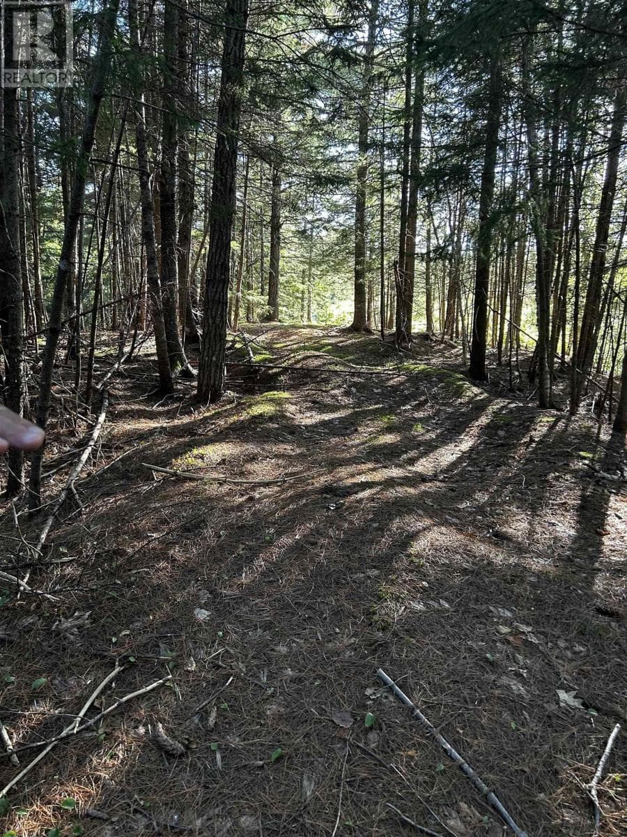 vacant land at Unit 3 FORSYTHE ROAD SOUTH Road — $95,000