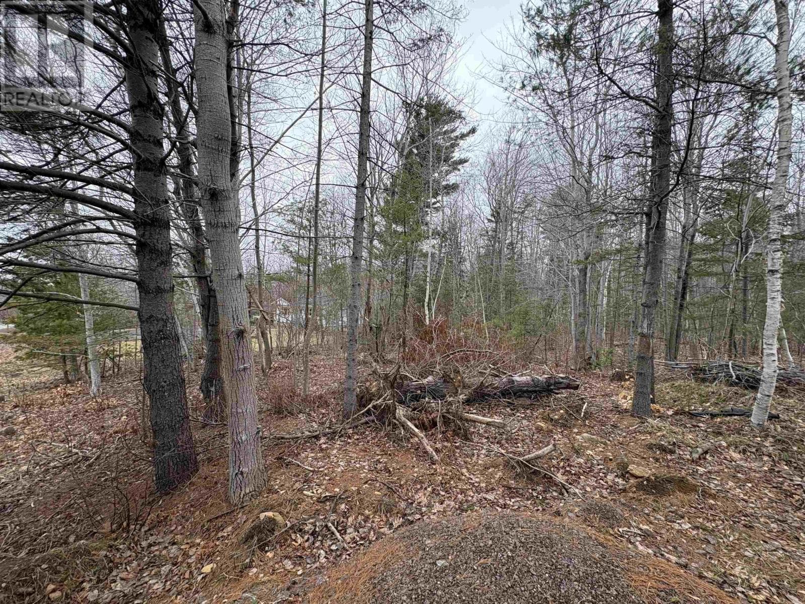 Lot B Meadowvale Road photo 2