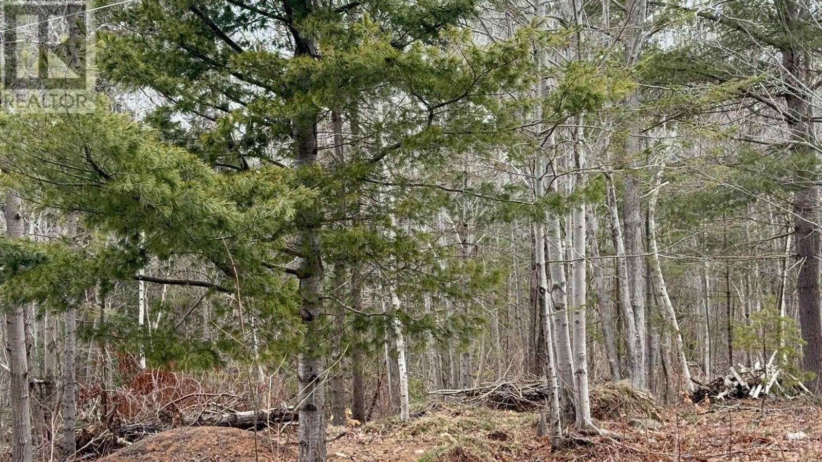 Lot B Meadowvale Road photo 3