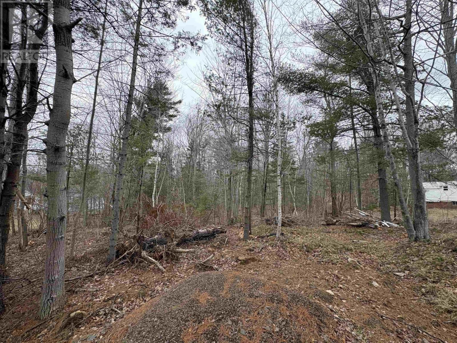 Lot B Meadowvale Road photo 4