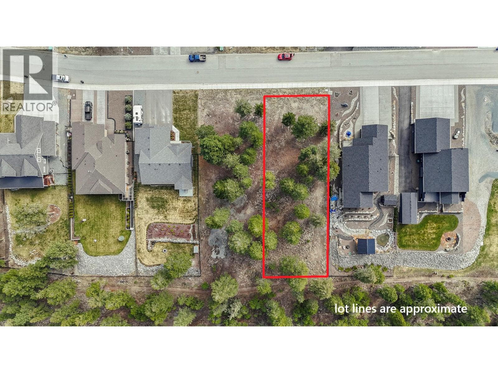 1513 ABEL Avenue photo 5