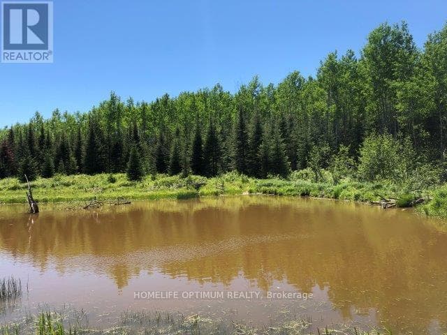 38.24 ACRES IN OGDEN TOWNSHIP PCL 24640 photo 4