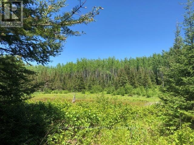 38.24 ACRES IN OGDEN TOWNSHIP PCL 24640 photo 2