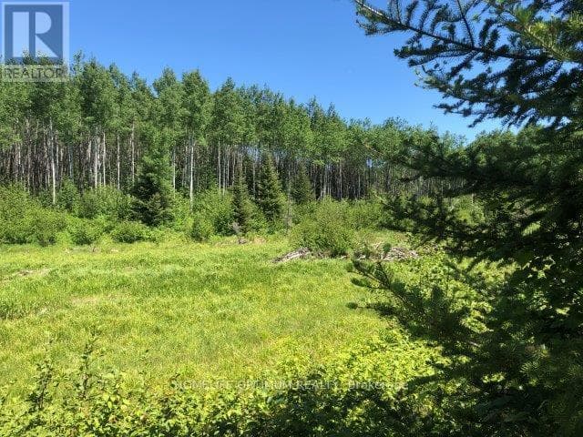 vacant land at 38.24 ACRES IN OGDEN TOWNSHIP PCL 24640 — $64,000