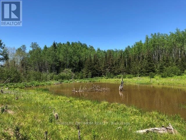 38.24 ACRES IN OGDEN TOWNSHIP - PCL 24640 photo 3