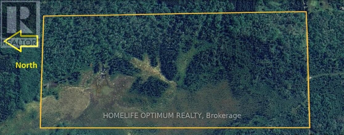154 ACRES IN GLACKMEYER TOWNSHIP - PCL 2372 photo 4