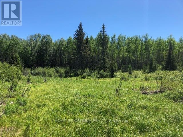 38.24 ACRES IN OGDEN TOWNSHIP PCL 24640 photo 5