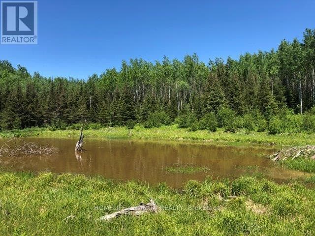 38.24 ACRES IN OGDEN TOWNSHIP PCL 24640 photo 3
