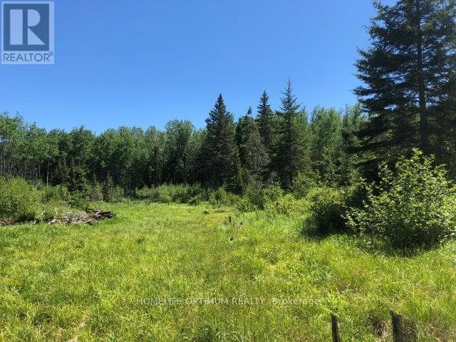 38.24 ACRES IN OGDEN TOWNSHIP - PCL 24640 photo 4