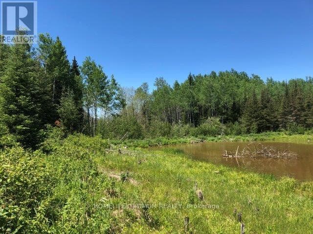 38.24 ACRES IN OGDEN TOWNSHIP - PCL 24640 photo 2