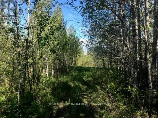 75.25 ACRES IN PYNE TOWNSHIP - PCL 4952 photo 5