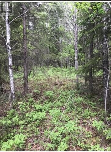 75.25 ACRES IN PYNE TOWNSHIP - PCL 4952 photo 3