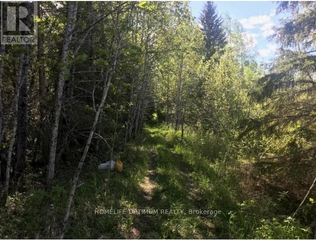 75.25 ACRES IN PYNE TOWNSHIP - PCL 4952 photo 4