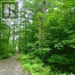 50 ACRES IN MUSKOKA NORTH OF BALA PCL 31045 photo 3